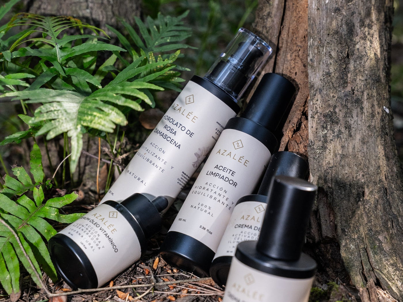 Rutina de otoño Azalée: gama de cosmética natural en un entorno de bosque