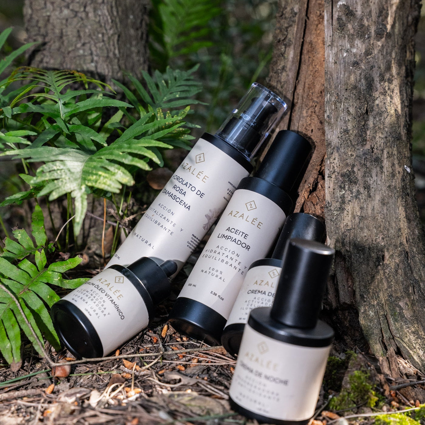 Rutina de otoño Azalée: gama de cosmética natural en un entorno de bosque