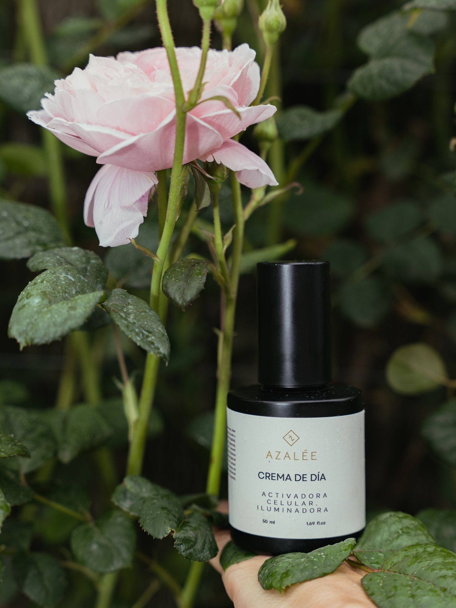 Crema Facial de Día